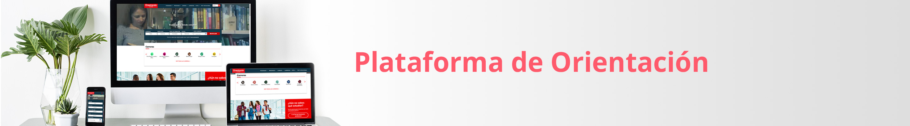 Plataforma Orientación